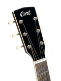 Exotic-GA Walnut (Sunburst), зображення 6